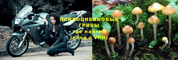 мет Кинешма