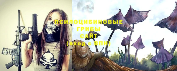 амфетамин Козловка