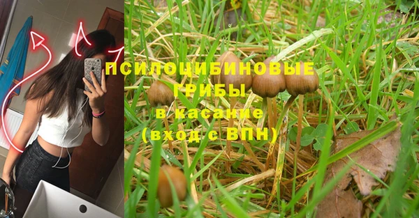 мет Кинешма