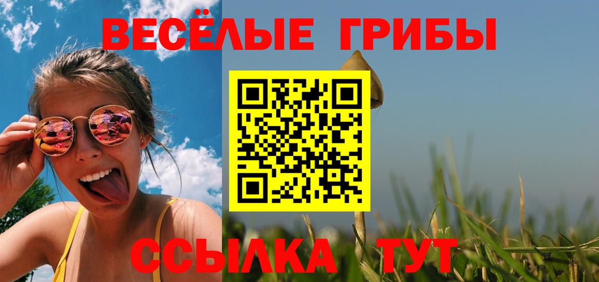 Галлюциногенные грибы MAGIC MUSHROOMS  Псилоцибиновые грибы Magic Shrooms  Северодвинск  где найти   Вход с VPN 
